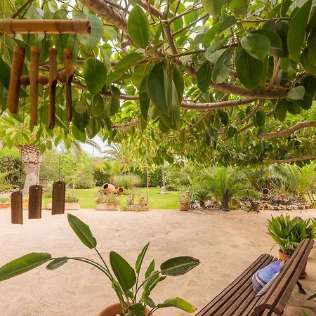 Villa Dolce Vita Portocolom  Extérieur photo